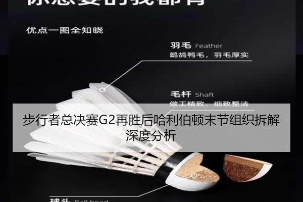 步行者总决赛G2再胜后哈利伯顿末节组织拆解深度分析